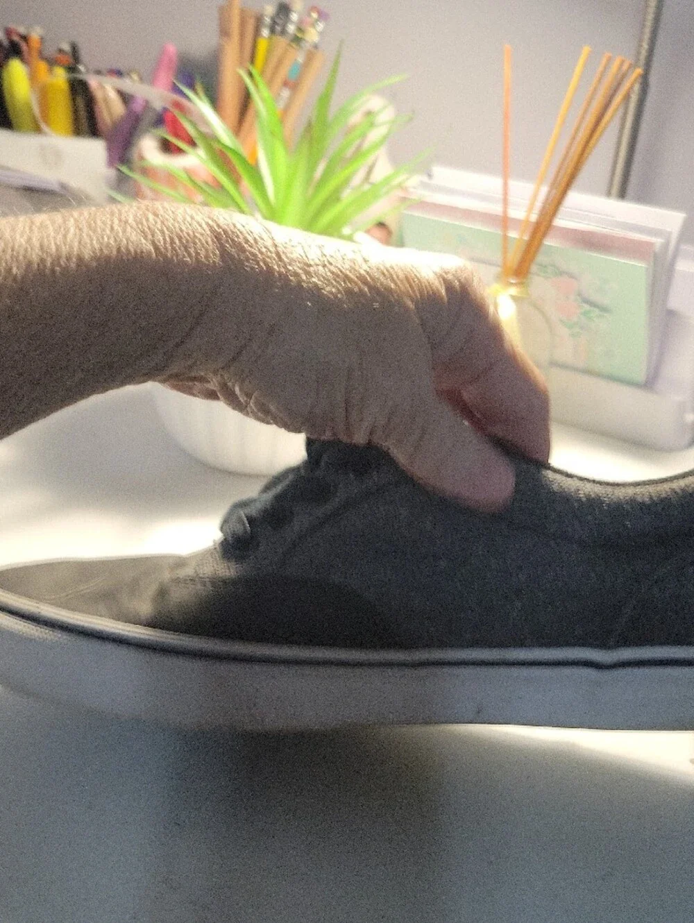 Vans Black Low-Top Skate Shoes